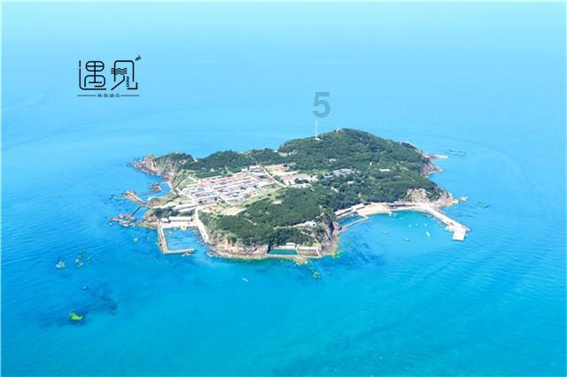 救援受困的火鸡